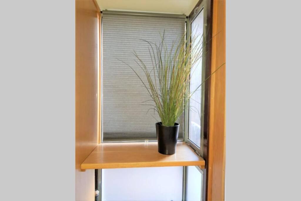 Boat House Apartment Trieste Ngoại thất bức ảnh